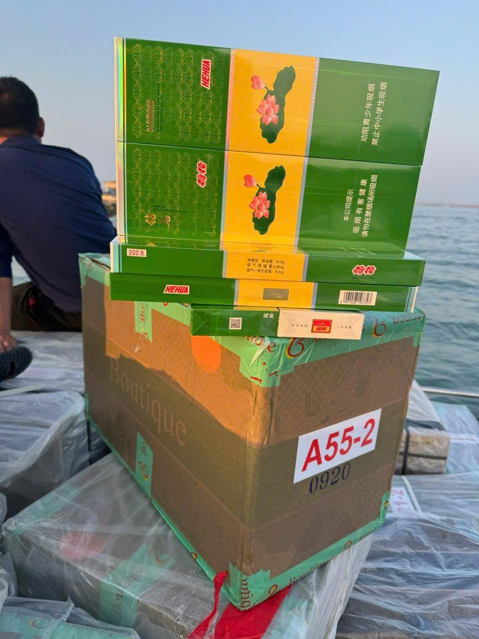 荷花系列 - 图片 6