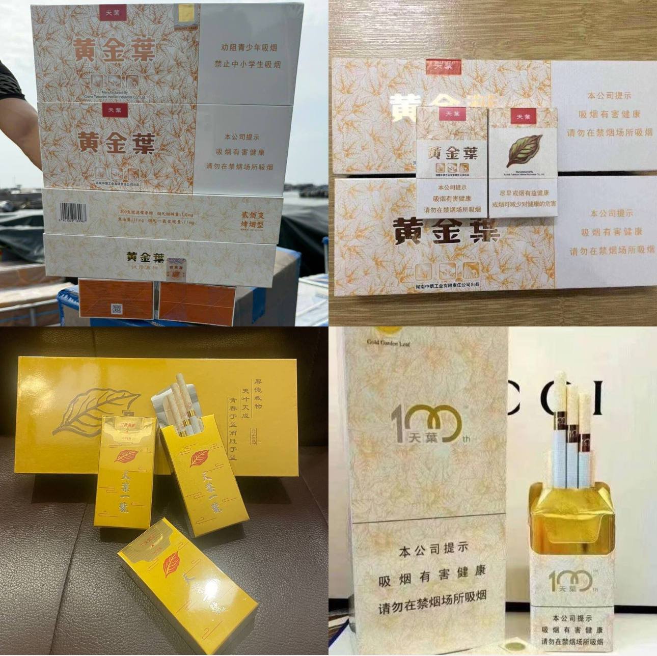黄金叶系列 - 图片 1