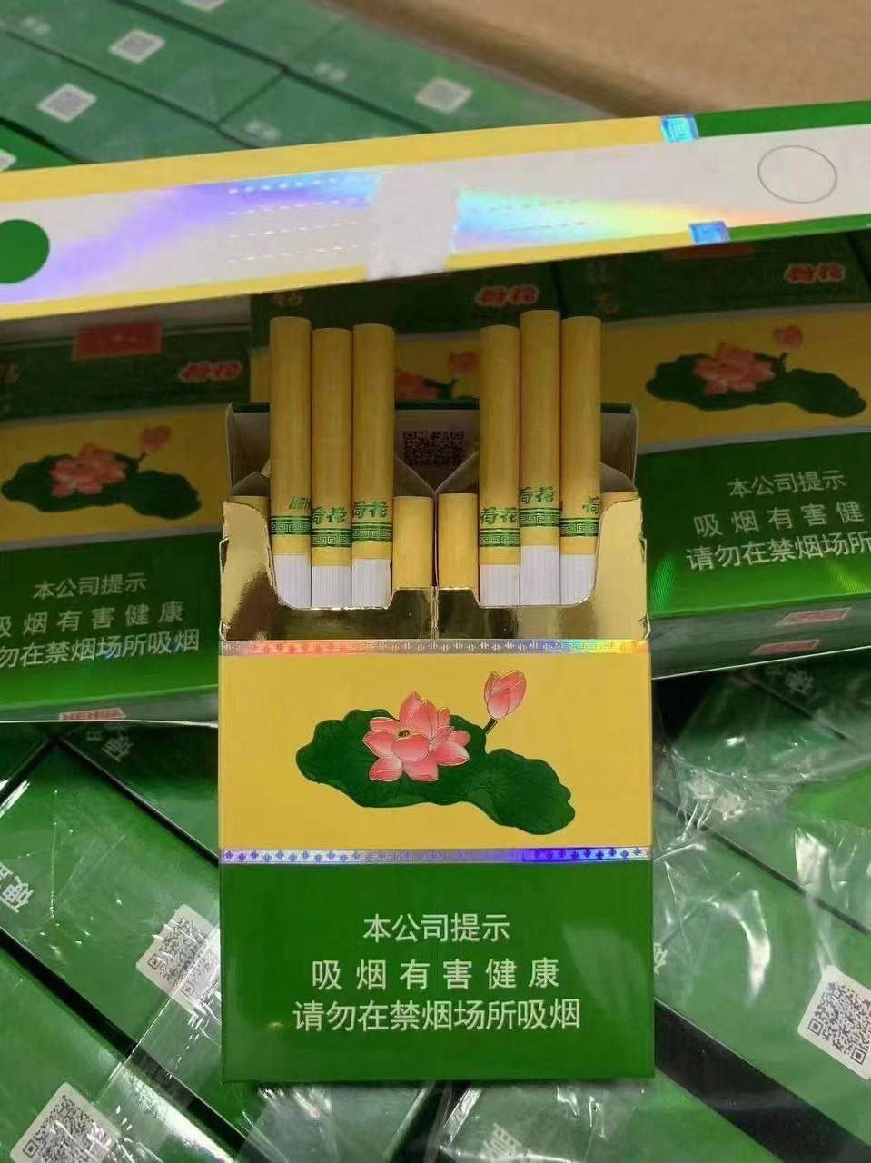 荷花系列 - 图片 9