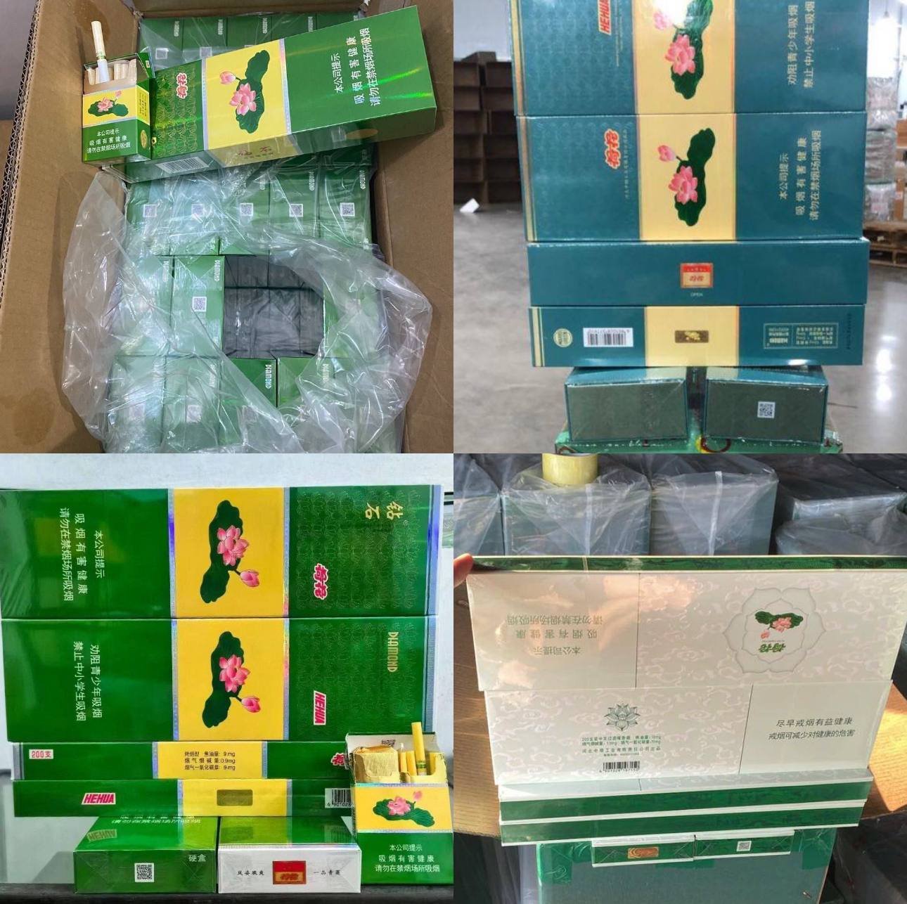 荷花系列 - 图片 1