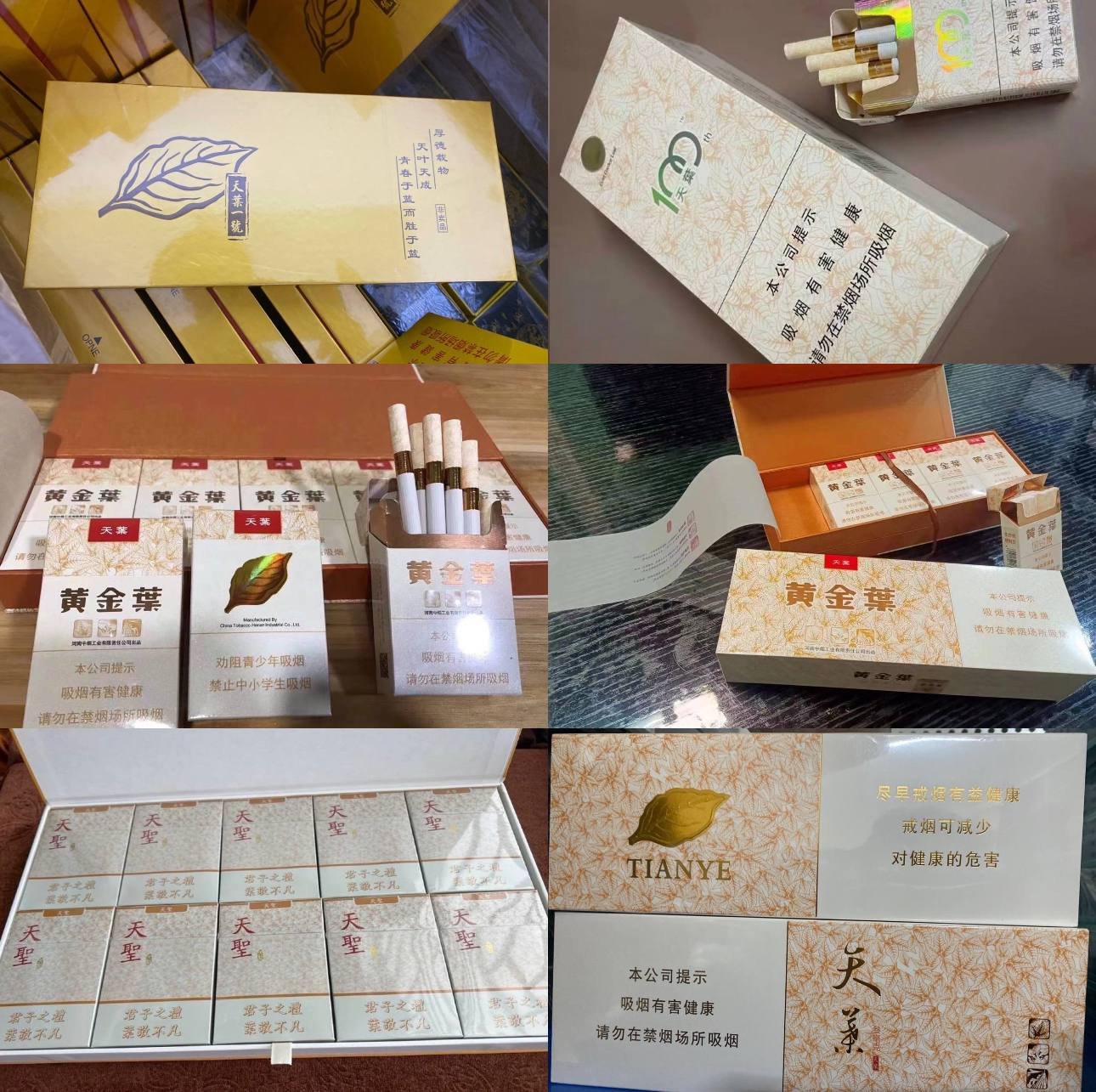 黄金叶系列 - 图片 2