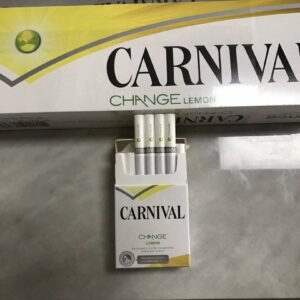 嘉年华系列 - 图片 5